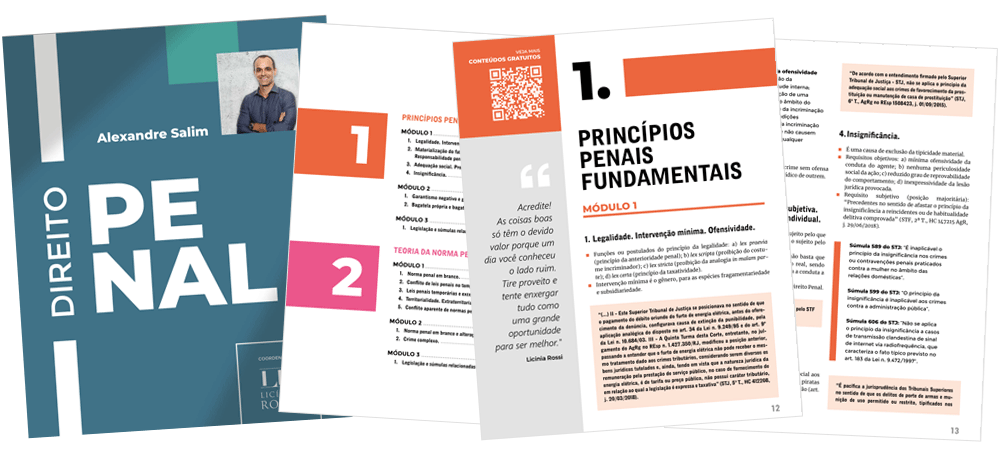 diagramacao_licinia_direito_penal_design_grafico